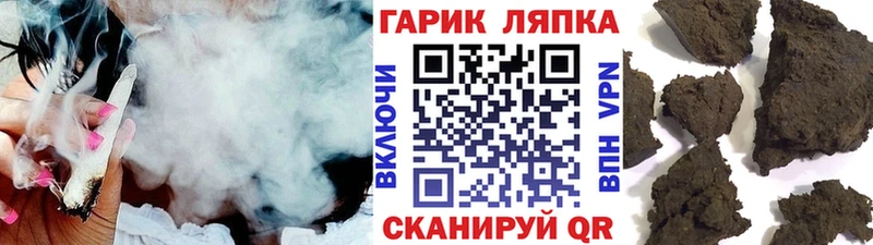 цена наркотик  Заводоуковск  Гашиш hashish 