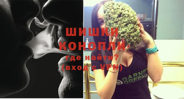 дмт Елизово