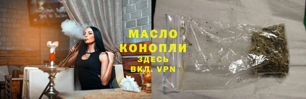 ешки Ельня