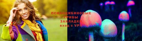 ешки Ельня