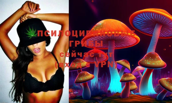 дмт Елизово