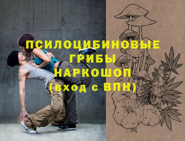 ешки Ельня