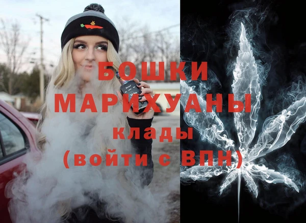 дмт Елизово