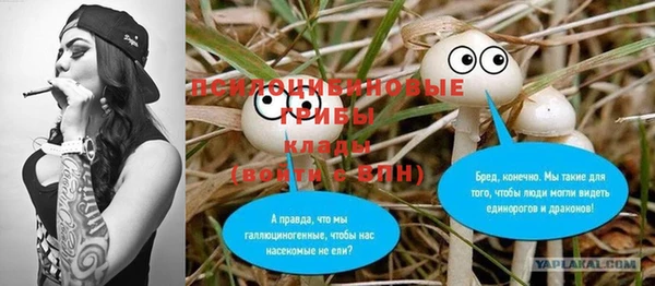 a pvp Елабуга