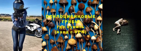 ешки Ельня