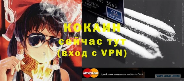 дмт Елизово