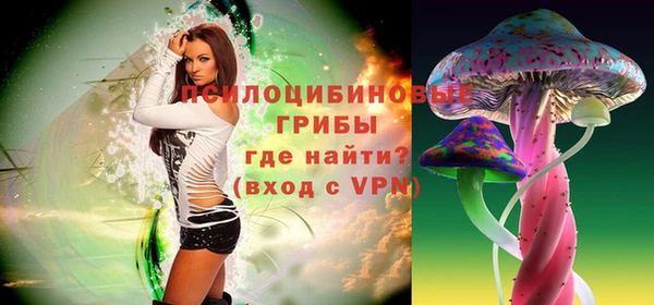 дмт Елизово