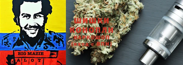 ешки Ельня