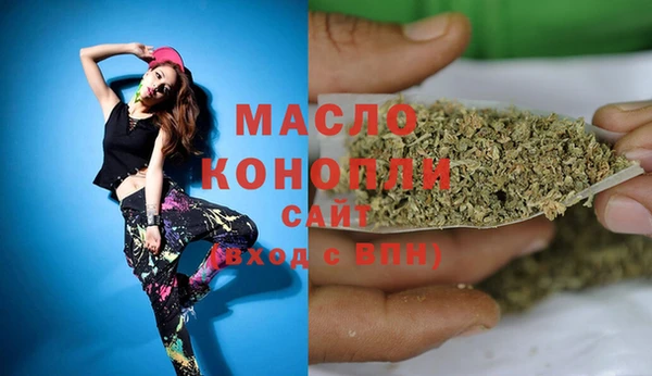 дмт Елизово