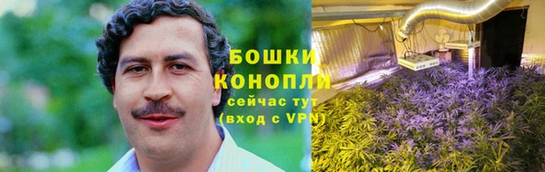 ешки Ельня