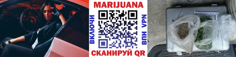 где купить наркоту  Заводоуковск  Бошки Шишки Amnesia 